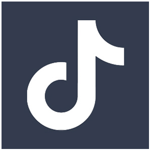 Tiktok icon